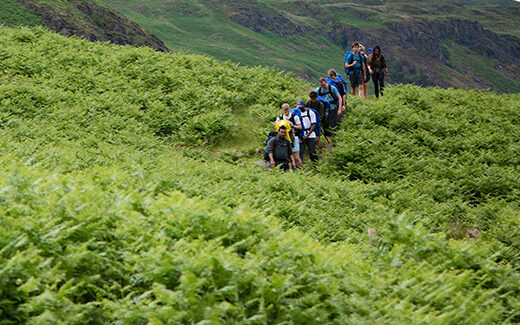 520x520-graduates-walking-valley