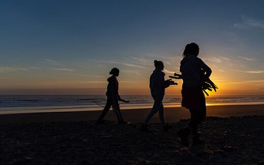 Sunset-firewood-collecting_520x520