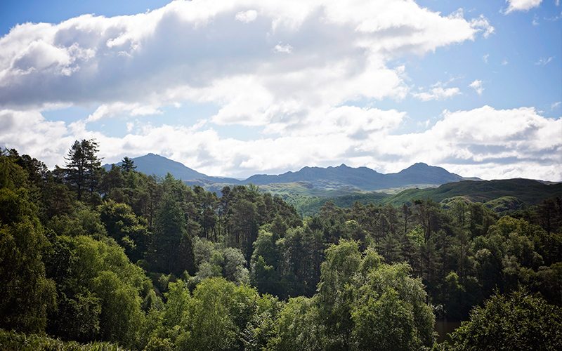 Eskdale-800x500-view-from-centre